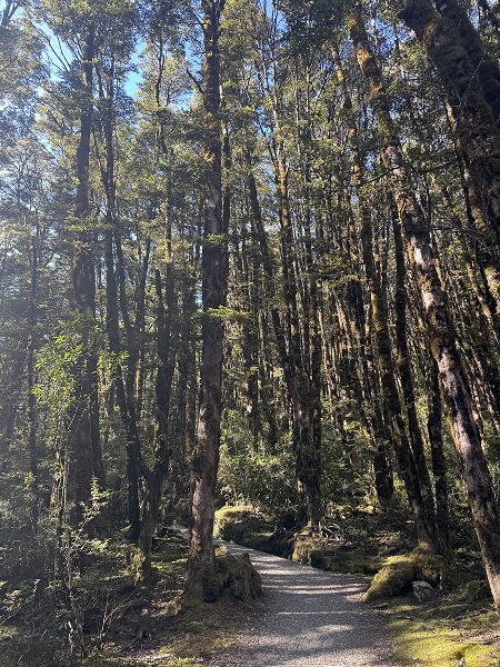 Bridal Veil Falls Lookout Walk