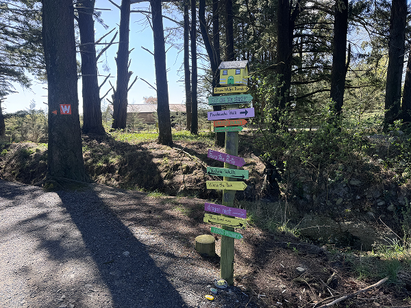 Enchanted Forest post